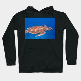 SEA TURTLE IN THE OCEAN DESIGN Hoodie